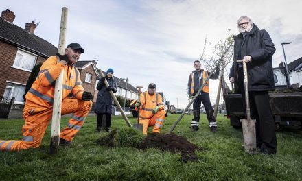 Opportunity for Local Residents to Plant Trees in their Community