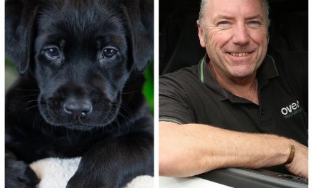 Darlington Business Owner Sponsors Adorable Guide Dog