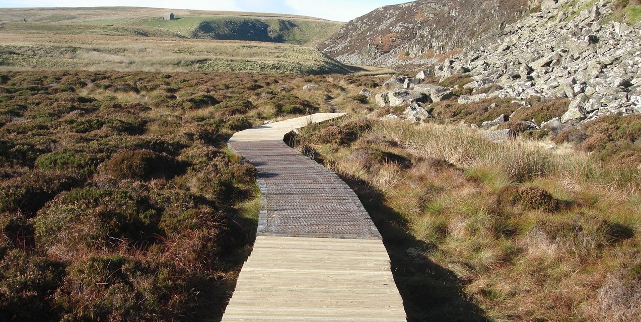 Helicopter used to replace timber on countryside boardwalk