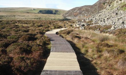 Helicopter used to replace timber on countryside boardwalk