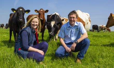 Queen’s Award for North East Dairy