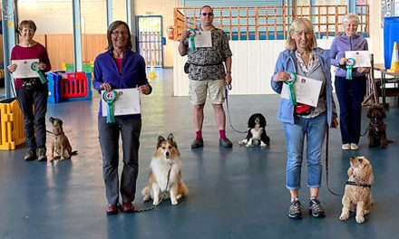 Kennel Club Good Citizen Dog Scheme Silver Award