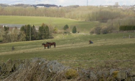 History talk tells story of County Durham family through turbulent times