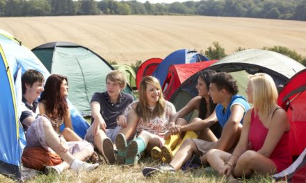 Agricultural expert urges North East farmers with pop-up campsites to ‘tread carefully’ as they face a ‘risk minefield’