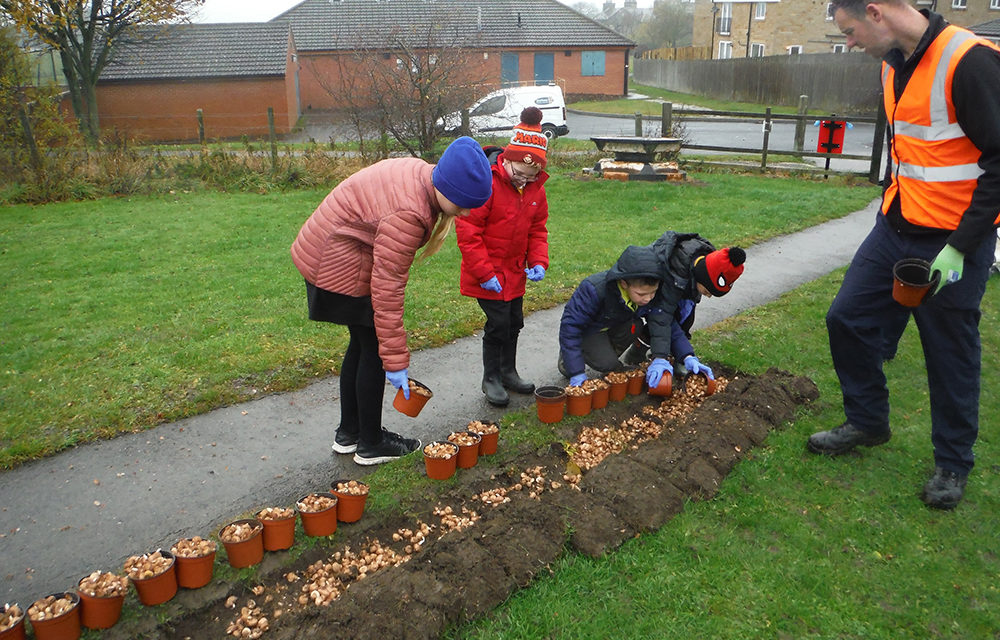 Chance to Apply for Floral Treats to Spruce up Area