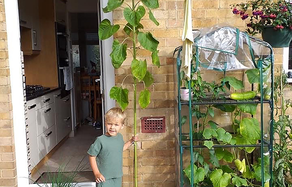 Greenfingered Grandson