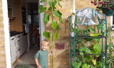 Greenfingered Grandson