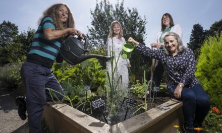 Heritage Open Days showcase diversity of County Durham’s cultural offer