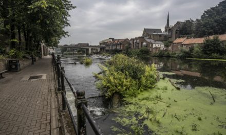 Work begins to clear Durham City’s river and paths