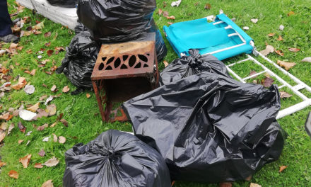 Litter Picks