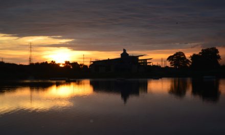 RSPB Saltholme in County Durham named one of the RSPB’s top sites to visit this autumn