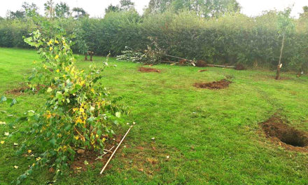 Mindless Vandalism at Horndale Park