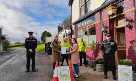Reduce speeding in village