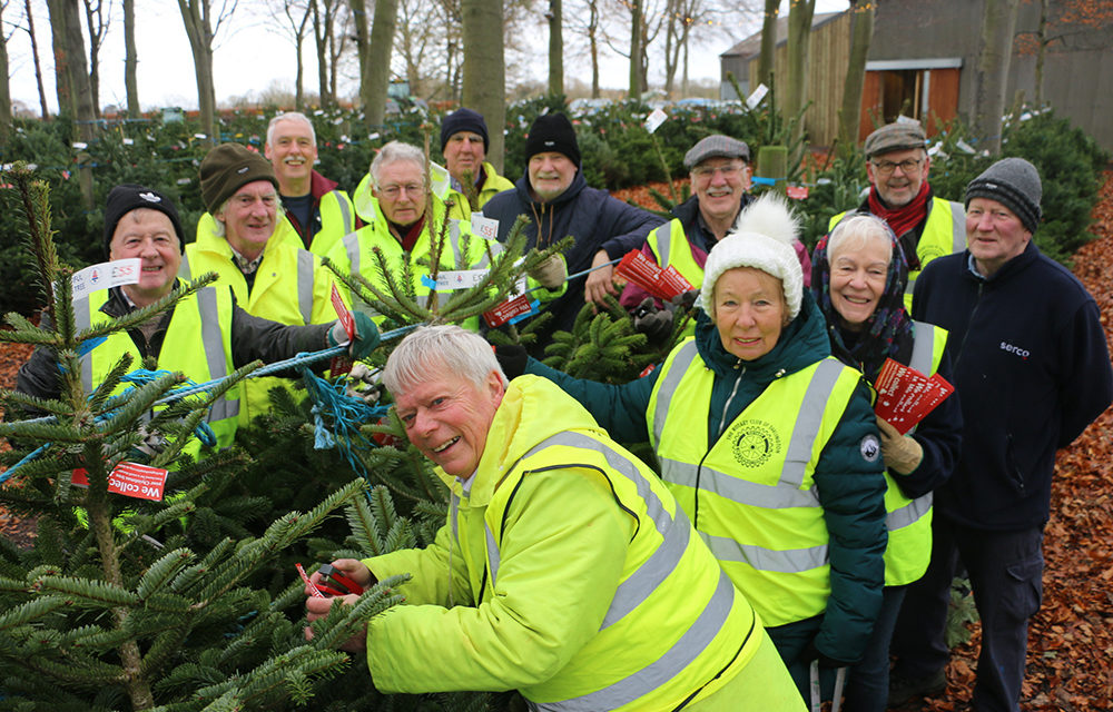 Donate Your Christmas Tree to Support Hospice