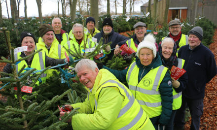 Donate Your Christmas Tree to Support Hospice