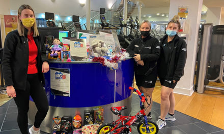 Lifestyle Fitness Toy Appeal