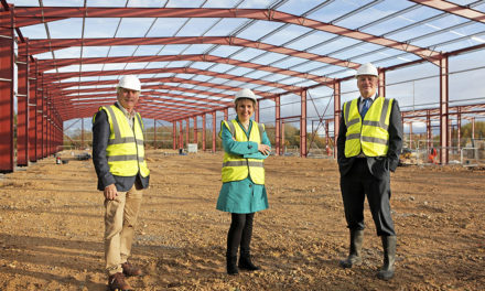 Landmark Development on Business Park