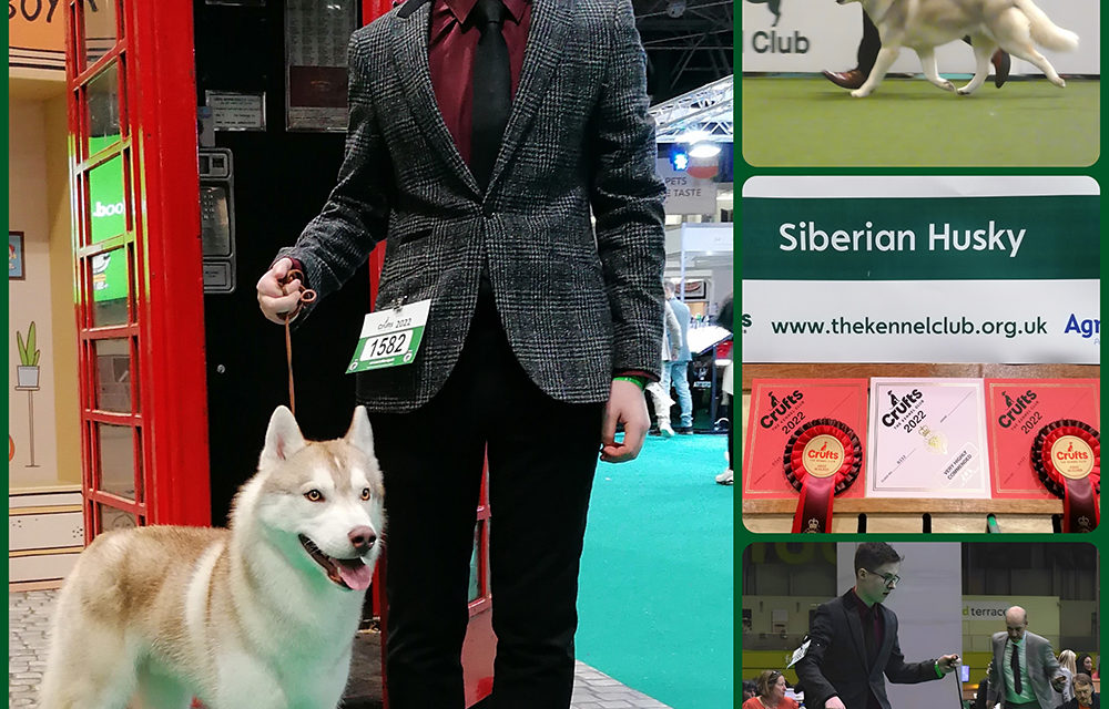 Greenfield Student Gains Success at Crufts