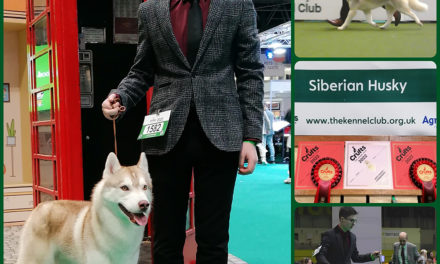 Greenfield Student Gains Success at Crufts