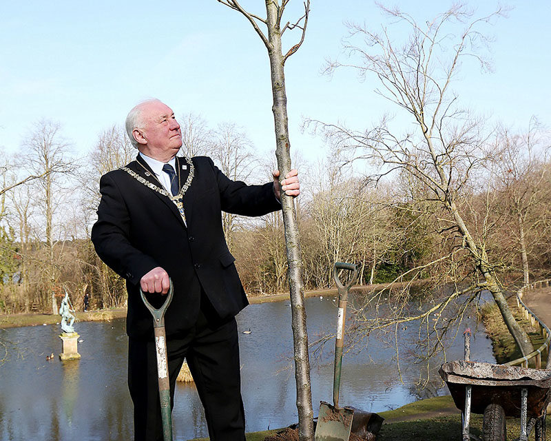 Council Chairman Plants Tree for Queen’s Jubilee Celebrations