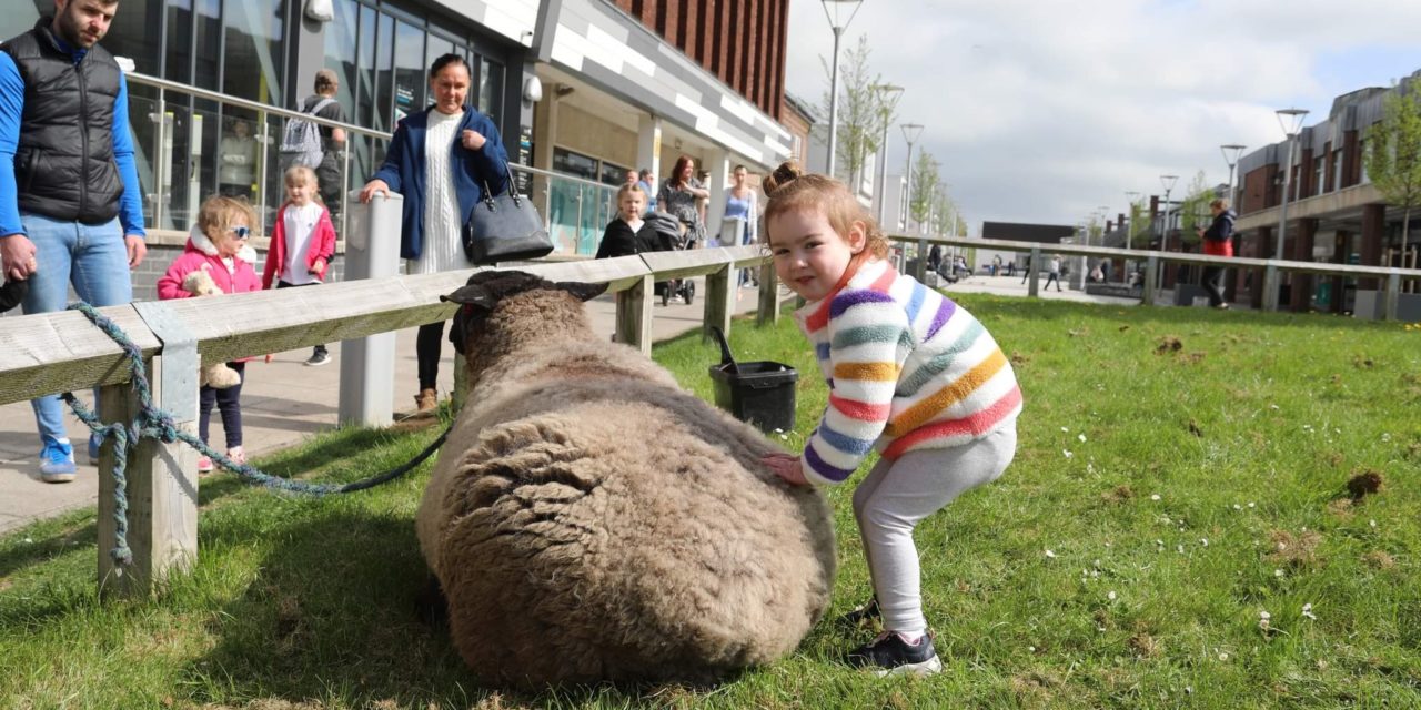 Busy Weekend for ACORN Community Assoc.