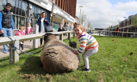 Busy Weekend for ACORN Community Assoc.