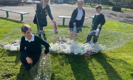 Environmental champions honoured at prestigious awards