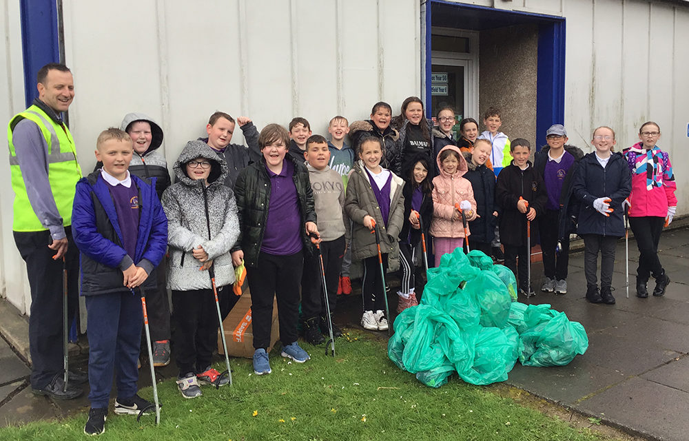 Stephenson Way Litter Pickers