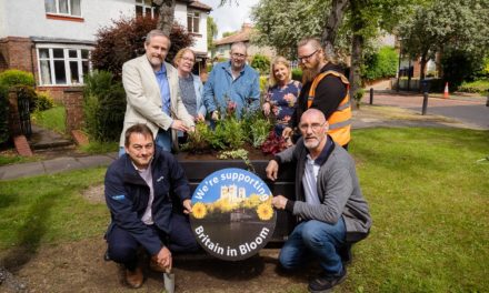 Teams help to make community bloom with new planters