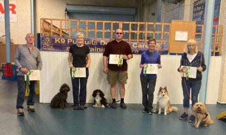 K9 Pursuits Achieve Double Gold