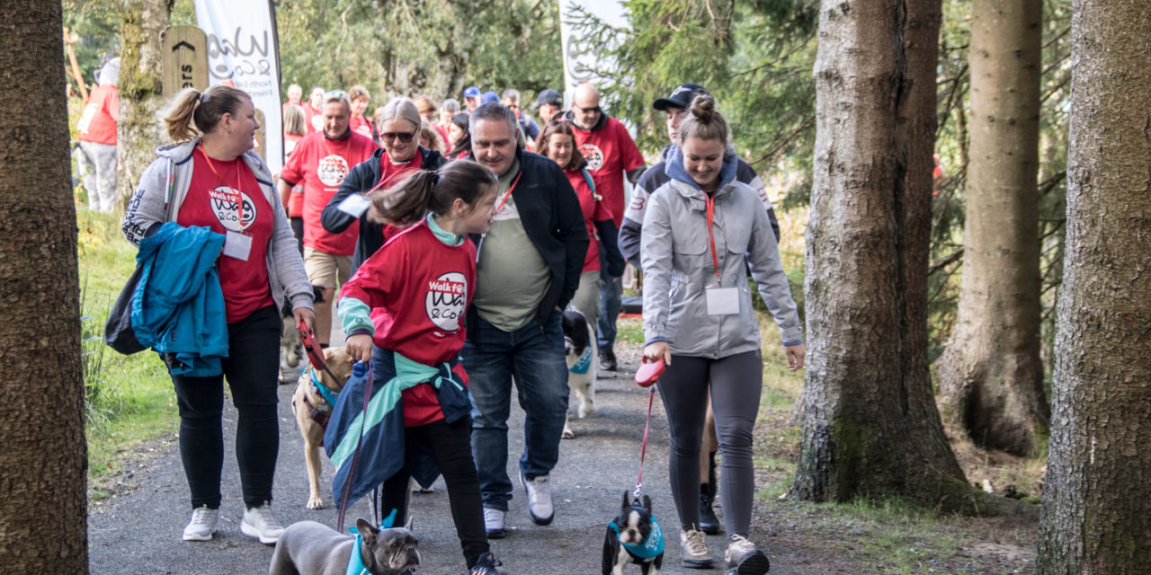 Dog walkers in annual fundraiser for North East charity