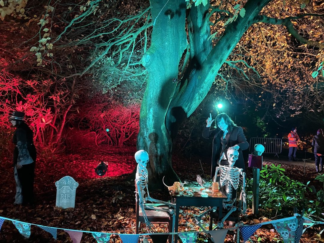 Ushaw Historic House invites families to brave ancient ‘Wood of Wolves