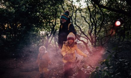 Ushaw Historic House invites families to brave ancient ‘Wood of Wolves’ this Half Term & Halloween   