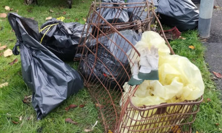 Great Aycliffe Tidy Team