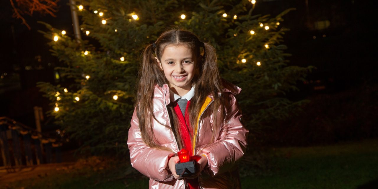 Festive lights spread Christmas cheer   