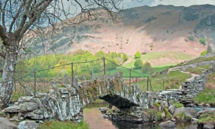 New Exhibition at Greenfield Arts