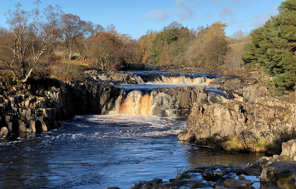 New Photography Workshops