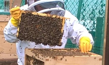 Aycliffe Beekeepers’ Association