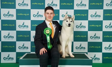 Best of Breed at Crufts