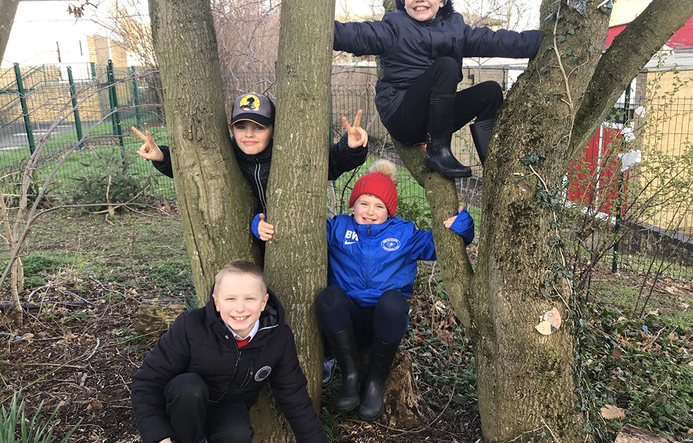 Deep in the Forest at St. Francis’ Juniors