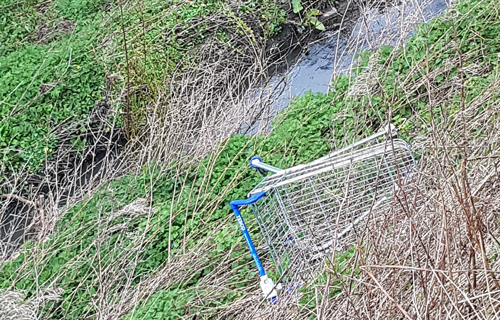 Dumped Trolley