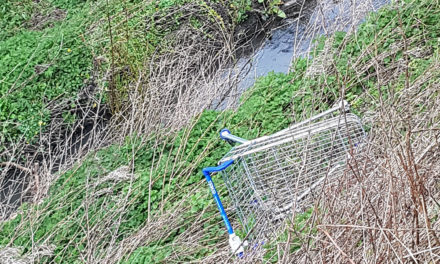 Dumped Trolley