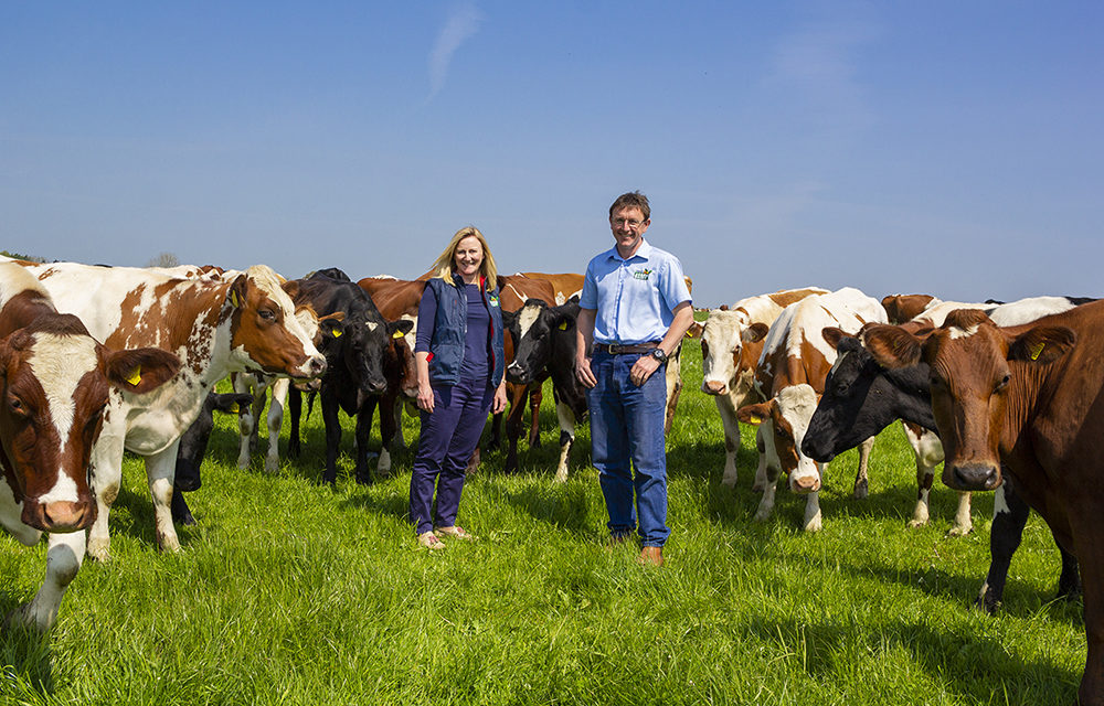 Dairy Celebrates 25 Years of Being Organic