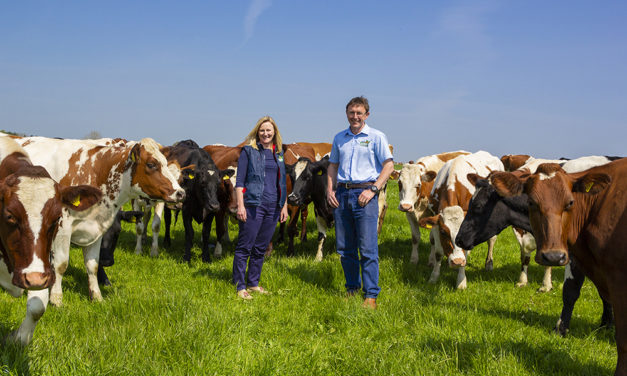 Dairy Celebrates 25 Years of Being Organic