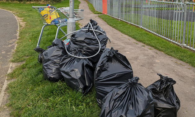 Four Years for Tidy Team