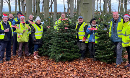 Recycled Xmas Trees Support Local Hospice