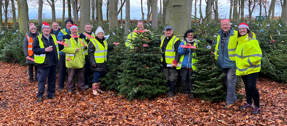 Recycled Xmas Trees Support Local Hospice