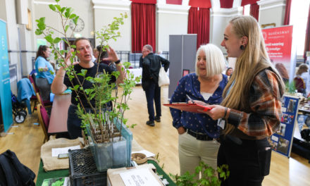 Set your stall out for Darlington’s Eco Fair