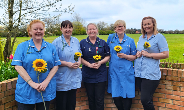 Sunflower Memories Display Returns this June