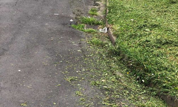 Bad for the Environment